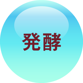 米発酵由来美容成分を象徴するアイコン