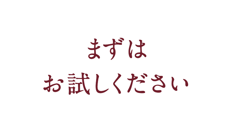 まずはお試しキャンペーンを案内するヘッドライン