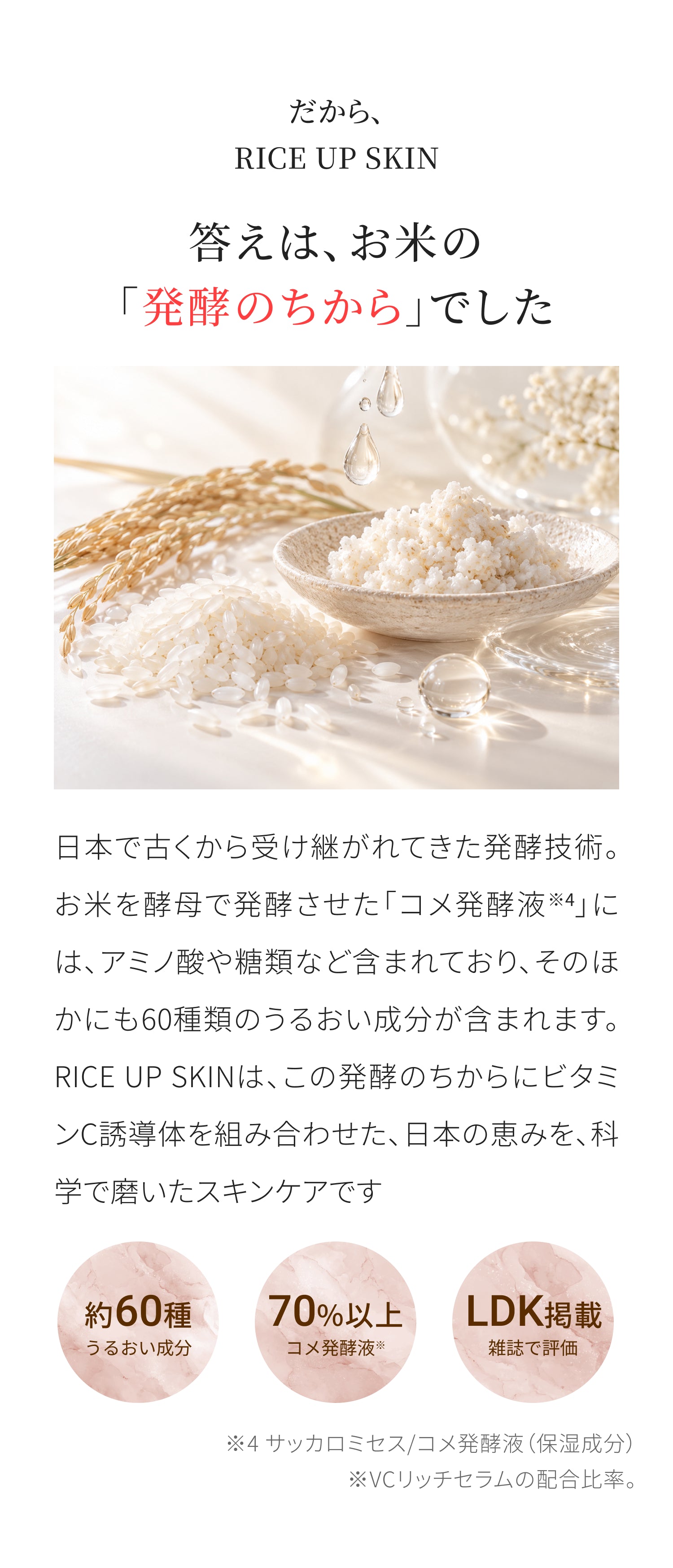 だからRICE UP SKIN。答えは、お米の発酵のちからでした