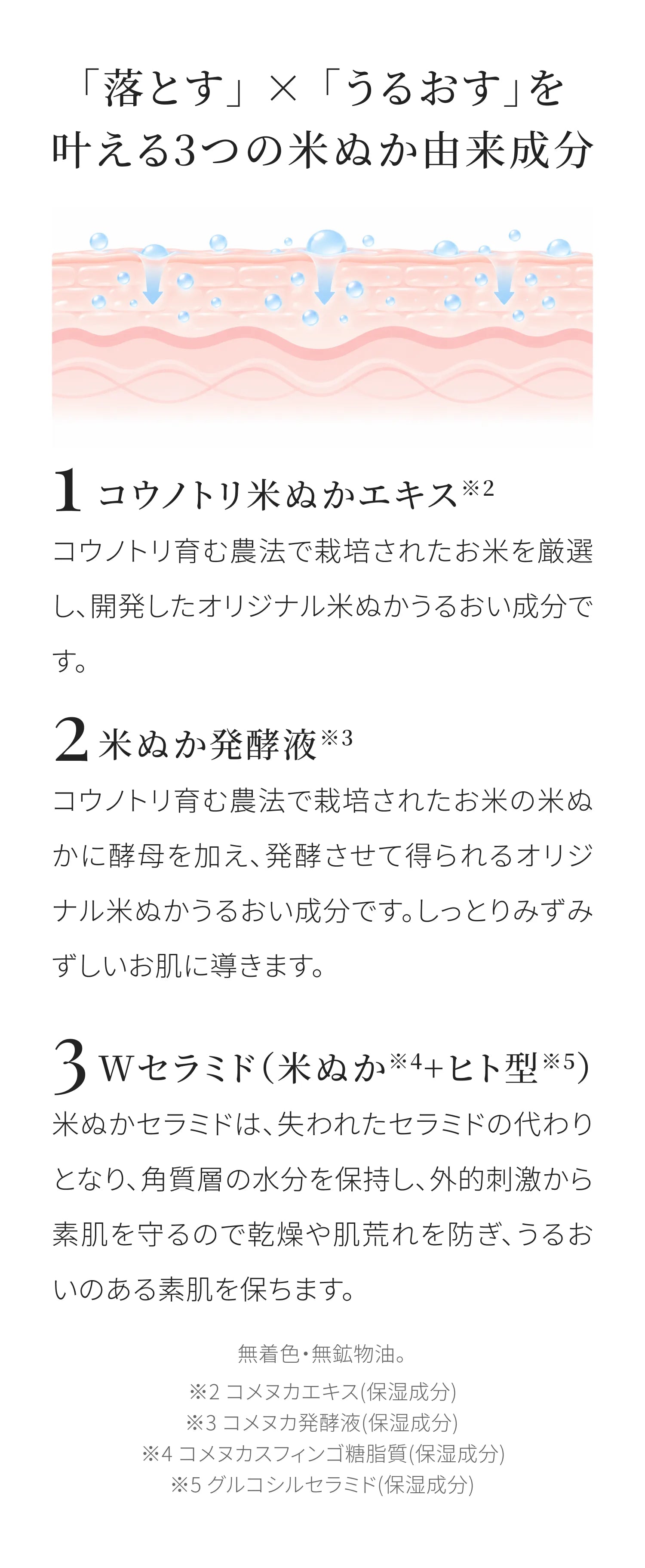 美人ぬかのこだわり成分
